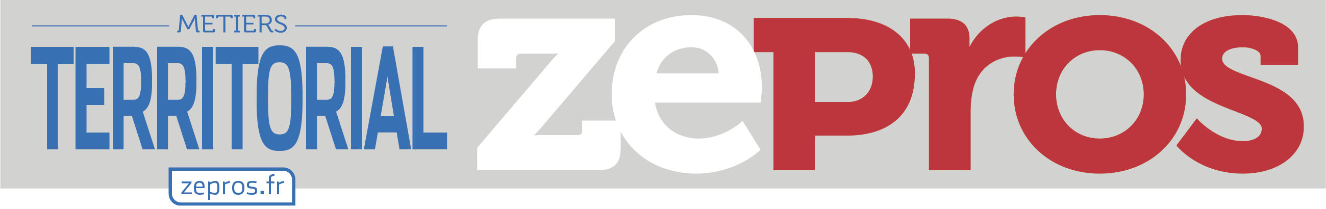 Créée en 2012, la marque Zepros est aujourd’hui leader de l’information professionnelle, avec 8 millions de lecteurs en 2014 et 3,8 millions d’exemplaires distribués au cœur des entreprises.